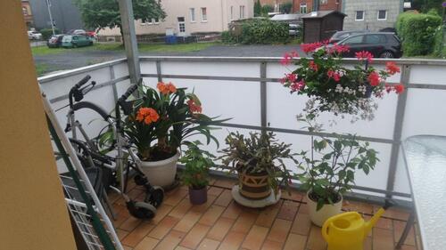 Foto - Etagenwohnung zur Miete in Sonneberg