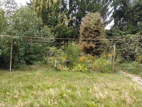 Foto - Einfamilienhaus zum Kaufen in Panketal