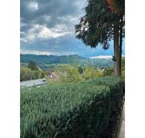 **ANFRAGESTOPP** Helle 3 ZKB Wohnung mit Terrasse in Biedenkopf