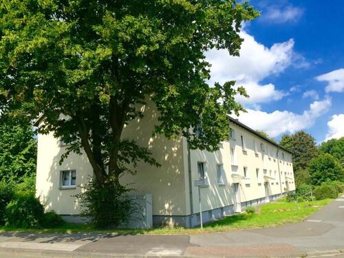 Foto - Barrierearme, frisch renovierte Wohnung in beliebter Lage zu vermieten