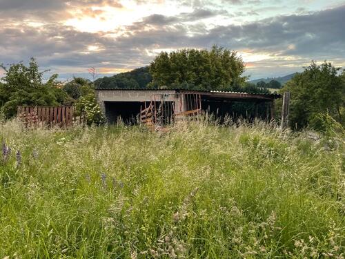 Foto - Einfamilienhaus zum Kaufen in Zierenberg