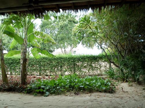 Foto - Grundstück im Süden von Ffm - 1.650,00 EUR Kaltmiete, ca.  0,00 m²