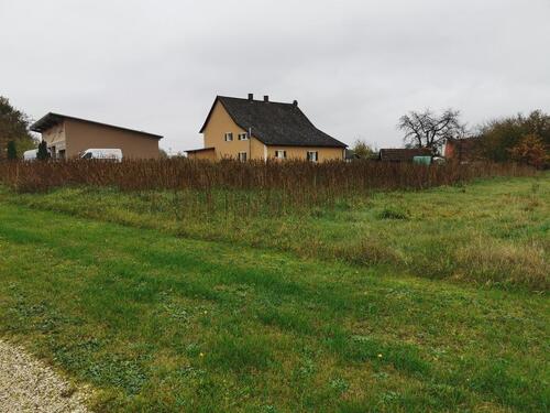 Foto - Lagerplatz, Feld, Wiese zu verpachten nähe Bachl
