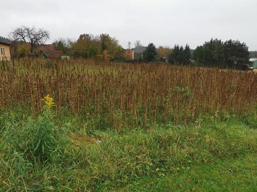 Foto - Grundst&uuml;ck zur Miete in Abensberg