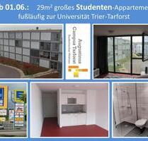 Ab 01.06.: 29m2 Studenten mwd - Appartement in Trier, nähe Uni