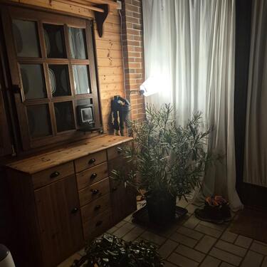 Foto - Einfamilienhaus in Edertal zum Kaufen