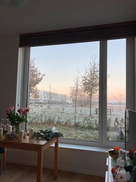 Foto - 2 Zimmer Erdgeschoßwohnung in Hamburg