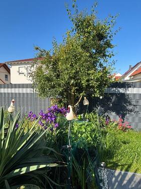 Foto - 6 Zimmer Doppelhaushälfte in Flörsheim am Main