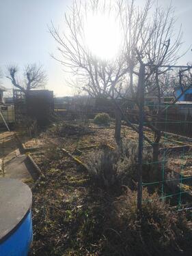 Foto - Grundst&uuml;ck zur Miete in Bautzen