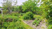 Foto - Kleingarten 320m² in Leipzig Paunsdorf Heiterblick