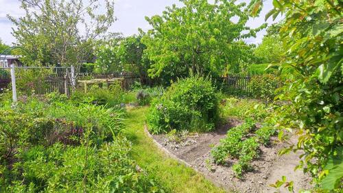 Foto - Kleingarten 320m² in Leipzig Paunsdorf Heiterblick