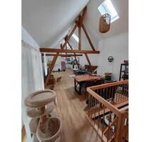 Wohnung 99qm Ebergötzen Ortsmitte