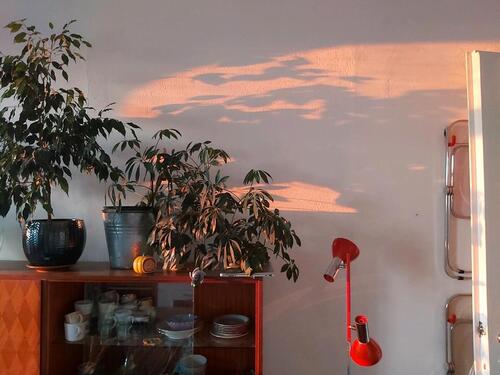 Foto - Etagenwohnung in Leipzig zur Miete
