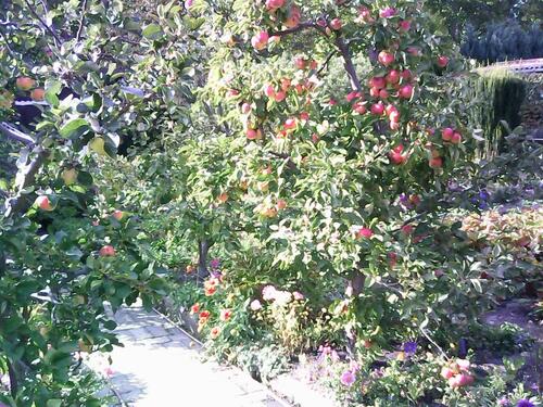 Foto - Grundst&uuml;ck in Leipzig zur Miete