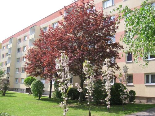 Foto - Wohnung für Selbstrenovierer - mit Einbauküche