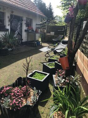Foto - Einfamilienhaus in Ulrichstein zum Kaufen