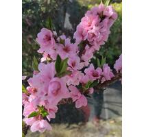 Einfamilienhaus mit Einliegerwohnung in Eyendorf von privat - Salzhausen