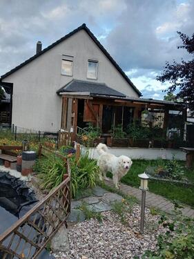 Foto - Einfamilienhaus mit Doppelgarage, Carport, Pool, gr. Terrasse etc