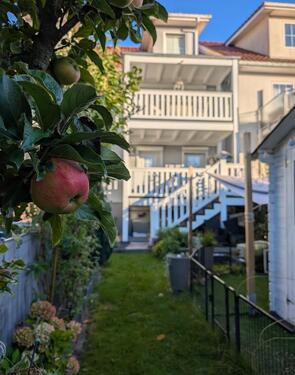 Foto - Reihenmittelhaus im kanadischen Stil mit Garten - provisionsfrei!