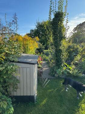 Foto - Grundstück zur Miete in Eckernförde