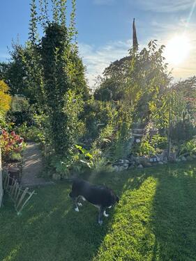 Foto - Grundstück in Eckernförde