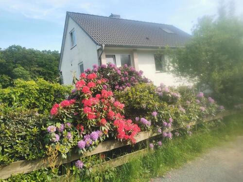 Foto - Speckrand Köln Einfamilienhaus im Bergischem Randgrundstück 900m²