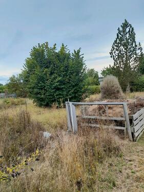 Foto - Pacht Garten - 600,00 EUR Kaltmiete, ca.  0,00 m²