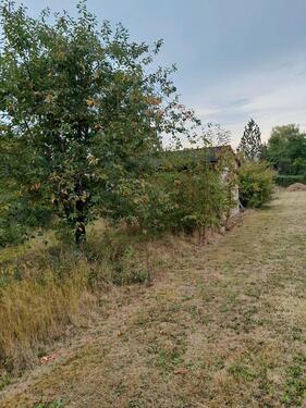 Foto - Grundstück in Weißensee zur Miete