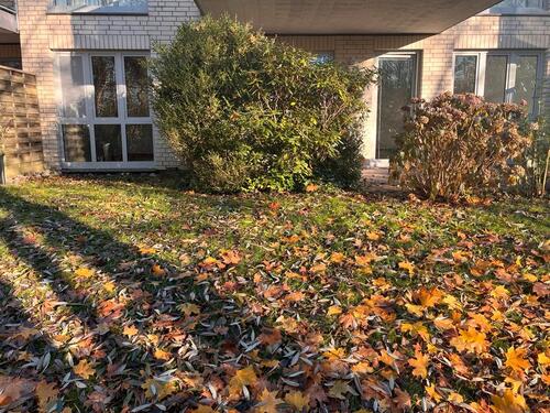 Foto - 2-Zimmer-Wohnung mit großer Terrasse direkt am Kiel-Russe – 65 m²