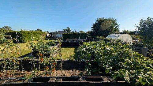 Foto - Grundst&uuml;ck in Leipzig zur Miete