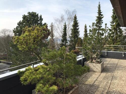 Foto - 3 Zimmer Etagenwohnung zur Miete in Flensburg