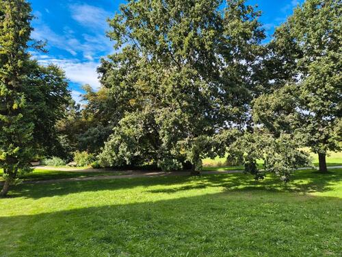 Foto - Etagenwohnung in Villingen-Schwenningen