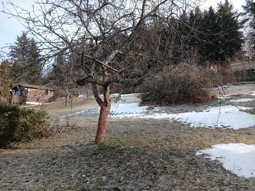 Foto - Grundst&uuml;ck zur Miete in Thalheim/Erzgebirge