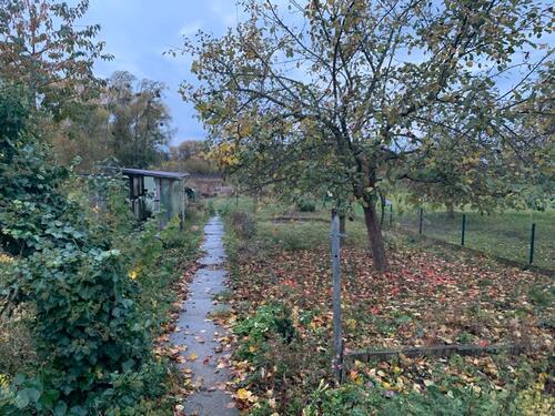 Foto - Einfamilienhaus in Baddeckenstedt