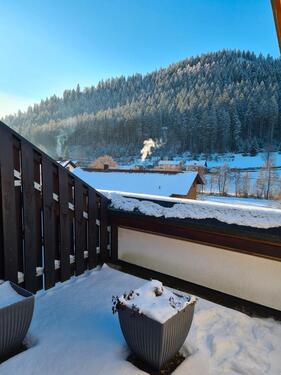 Foto - 2 Zimmer Dachgeschoßwohnung zum Kaufen in Enzklösterle