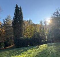 Freizeitgrundstück - Garten in Solingen - Naturgrundstück & Bach
