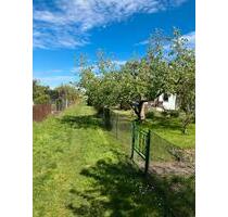 Garten Pacht - Garten - 2.150,00 EUR Kaltmiete, ca.  0,00 m² in Wolmirstedt (PLZ: 39326)