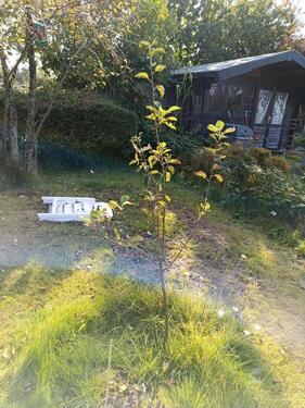 Foto - Grundstück in Flensburg