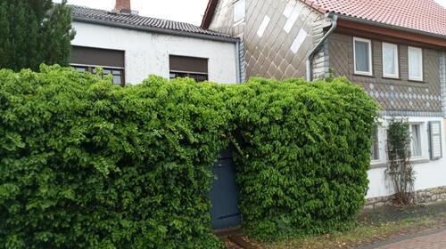 Foto - 4 Zimmer Einfamilienhaus zum Kaufen in Sonnenstein