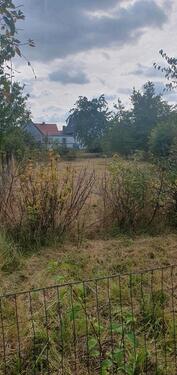 Foto - Grundstück in Südliches Anhalt