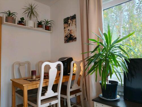 Foto - 2 Zimmer andere zur Miete in Göttingen