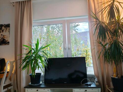 Foto - andere in Göttingen zur Miete