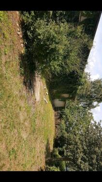 Foto - Einfamilienhaus in Coswig (Anhalt) zum Kaufen