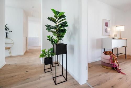 Foto - ENERGIEEFFIZIENTES EINFAMILIENHAUS MIT GROSSEM GARTEN