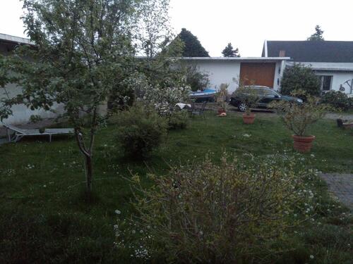 Foto - 