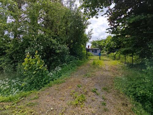 Foto - Garten in Hornburg, Anna Landmannstr zu vermieten