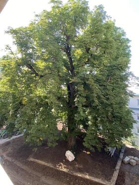 Foto - Etagenwohnung in Leonberg zur Miete