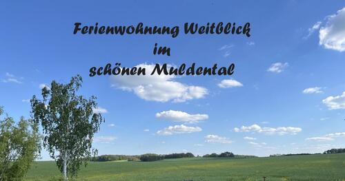 Foto - 85 m² 3-Raum Ferienwohnung Grimma Sachsen, wohnen auf Zeit