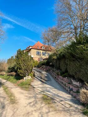 Foto - 12 Zimmer Villa zum Kaufen in Knüllwald