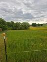 Foto - baugrundstück in ruhiger sonniger Ortsrandlage nahe landshut